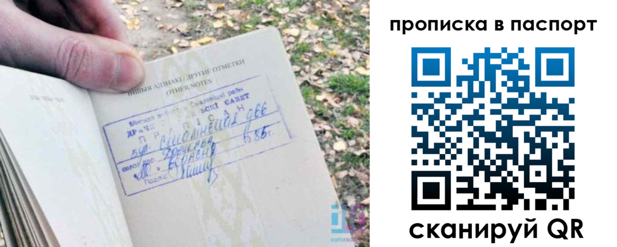 временная регистрация собственник в Дальнегорске